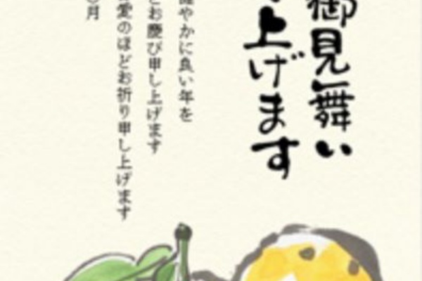 寒中見舞いはがき 喪中用写真年賀家族2026 写真が映える高品質年賀状 宛名無料・午年デザイン2000種類