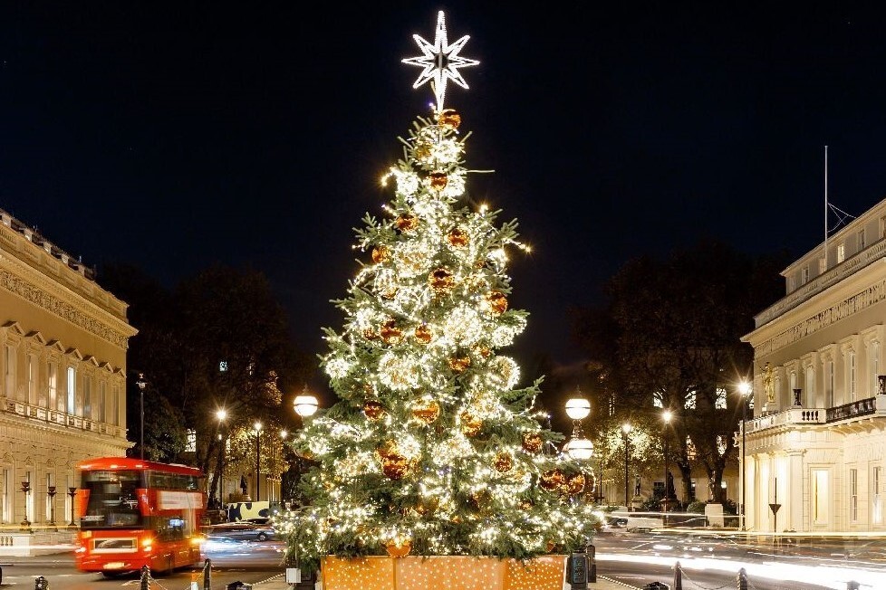 ヨーロッパのおすすめクリスマスマーケット10選！魅力や時期などを解説NEWT ニュート