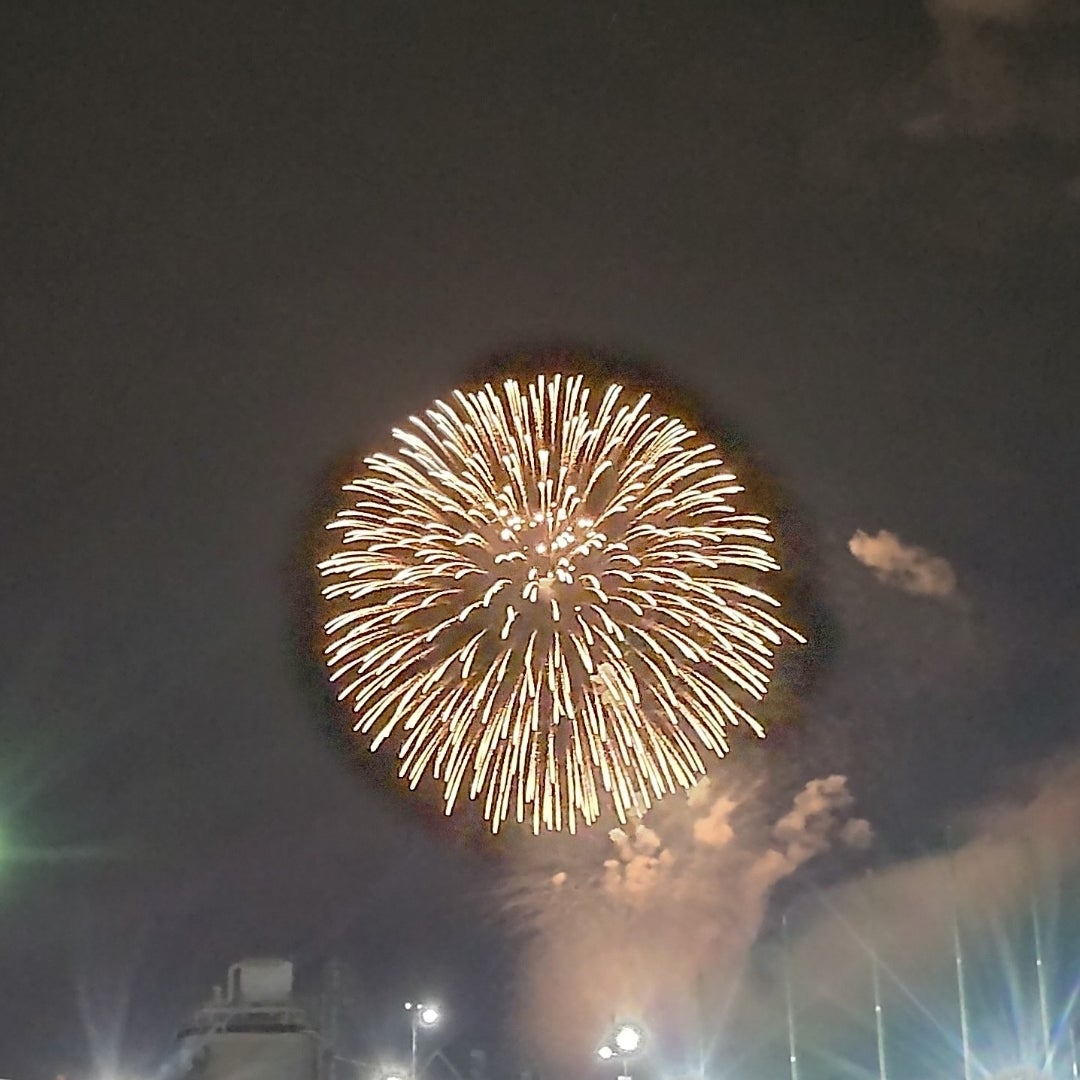 対岸の土手から炎が上がる 仕掛け花火が草むらに燃え移る 「のおがた夏まつり」花火開催中に火事 大会は途中で中止に 福岡・直方市福岡TNCニュース