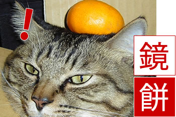 鏡餅の飾り方！「半紙の折り方」だけでこんな豪華なイメージに！ズバリ解決！XYZ