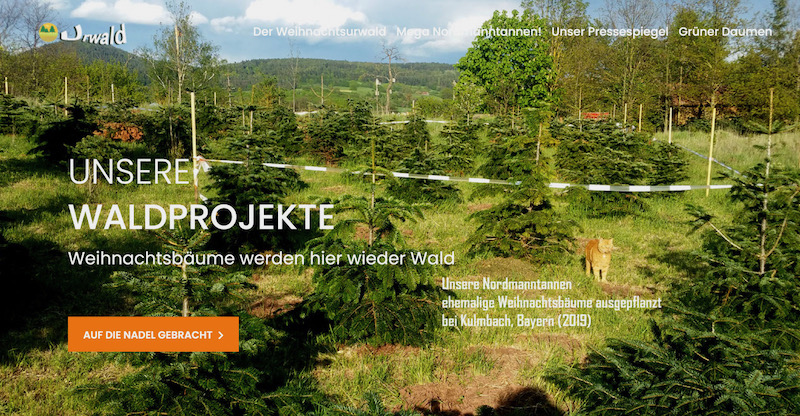 ドイツのクリスマスとNのシュトレン - N えんドイツ菓子屋さんオンラインショップ