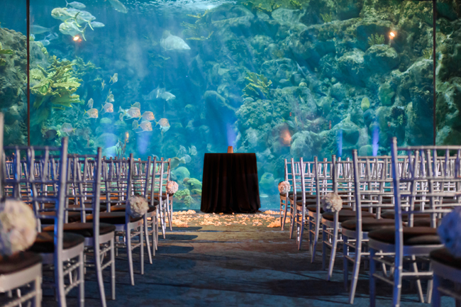 結婚式の水合わせの儀って？取り入れ方やアレンジ例をまとめましたトキハナmagazine