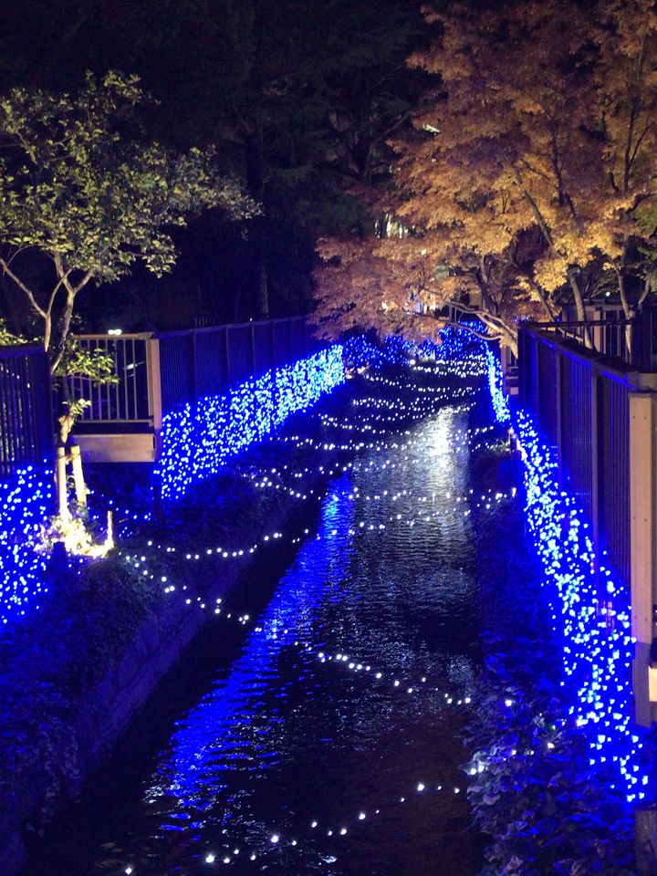 三次市・花火大会 「みよし市民花火まつり2025」9月27日 土 開催。今年のテーマは“MIYOSHI fresh!!!～みんなで進む軌跡～” -Yahoo! JAPAN