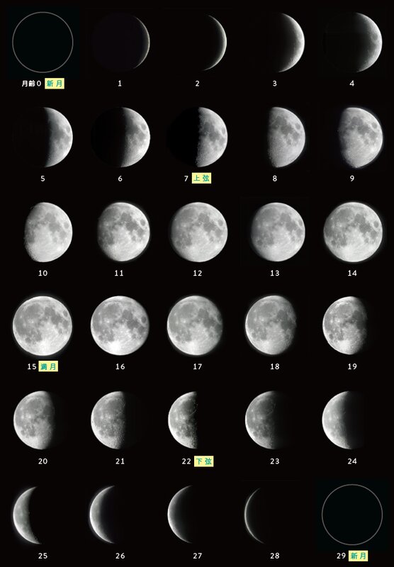 美瑛の丘に浮かぶ、幻想的な赤銅色 皆既月食観測＜ ドウホクone_shot＞：北海道新聞デジタル
