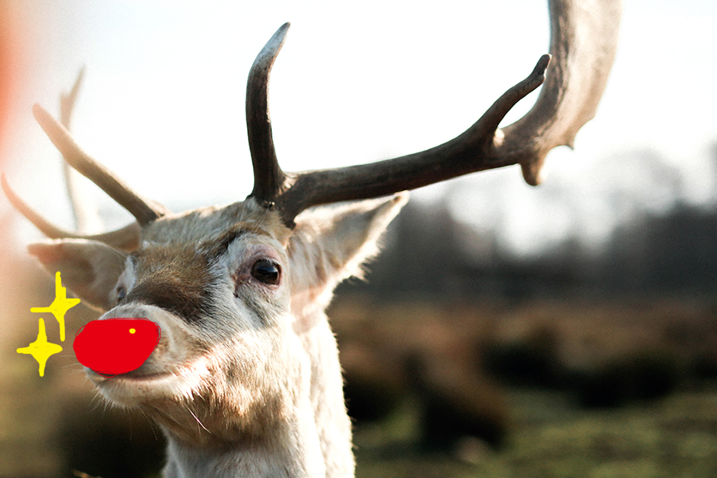 クリスマス☆ごろんとトナカイさんサンタさんのトナカイの名前は？頭数や性別の謎を大解明！ままのて