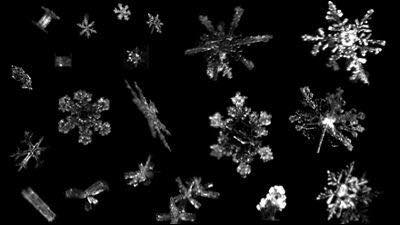 着物の柄と着る季節について加藤咲季オフィシャルサイト