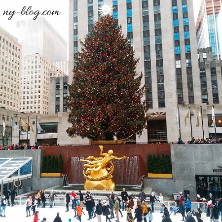 ロックフェラーセンターのクリスマスツリー行き方とおすすめ鑑賞スポット！ - Petite New York