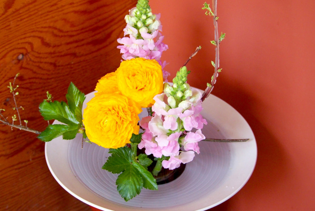 楽天市場 雛人形 桜橘の通販