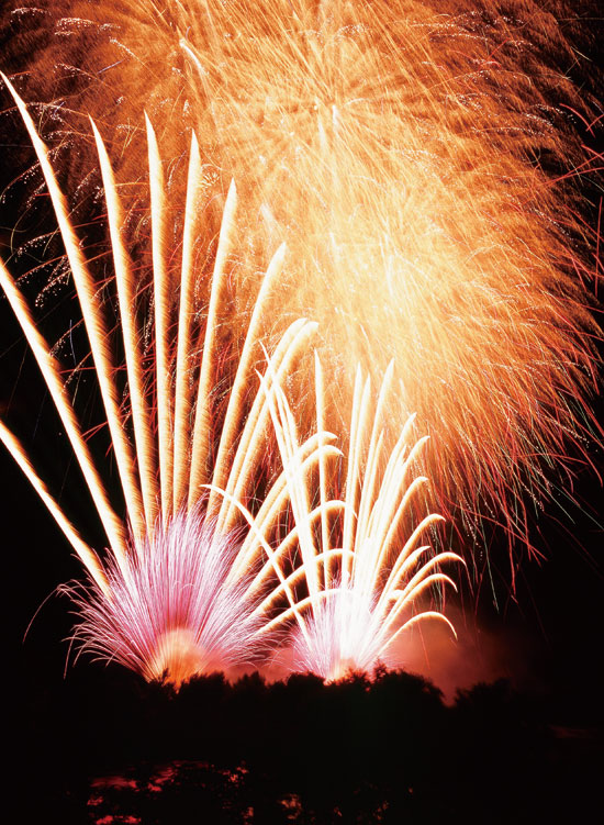 いよいよ今週末開催！「第49回 江戸川区花火大会」の見どころやアクセス、天気予報をチェック - 花火大会2025 - ウォーカープラス