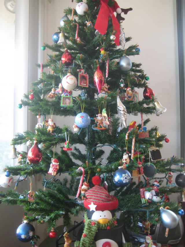 クリスマス正月飾り星クリスマス ギフト デザイン休日お祝い冬シーズンのパーティでベクトルのアイコンをツリーを植える - クリスマスツリーのベクターアート素材や画像を多数ご用意- iStock