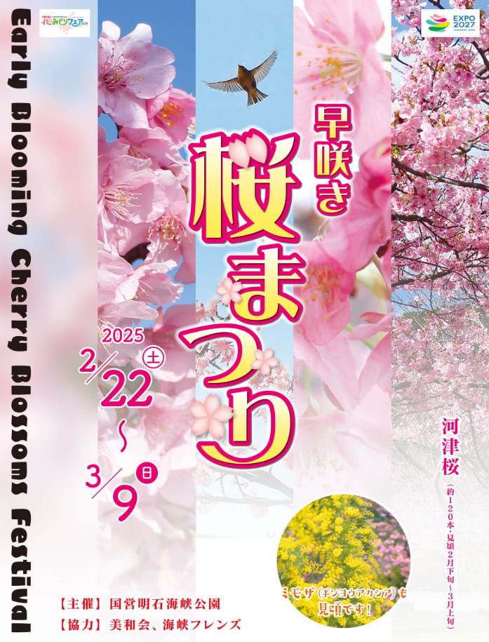 明石公園「夜桜のライトアップ」明石城築城400周年記念行事