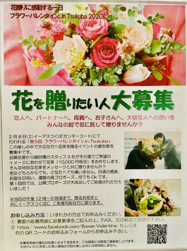 セールイーアスつくば