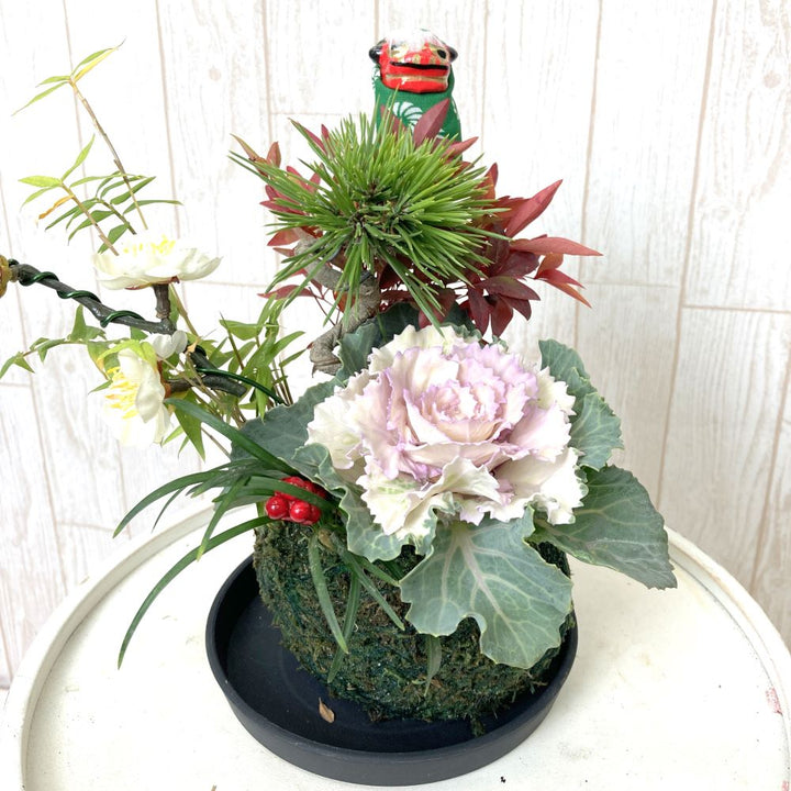 葉牡丹 ハボタン の花言葉お正月の門松に飾る？縁起がいいの？HORTI by GreenSnap