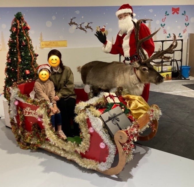 Finland🇫🇮 2 本物のサンタさんを探しに、念願のサンタクロース村へ🎅Akari