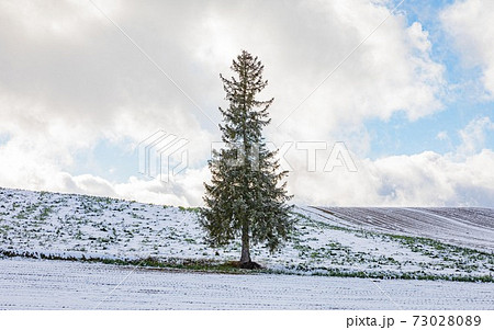 青い池だけじゃない！ 冬の北海道 美瑛観光を1泊2日でとことん楽しむドライブコース北海道 富良野・美瑛おすすめ旅行プラン・モデルコースならオリオンツア