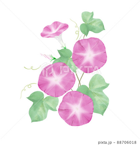 お中元お礼状イラスト入りテンプレート一覧ビジネス書式テンプレート 経費削減実行委員会