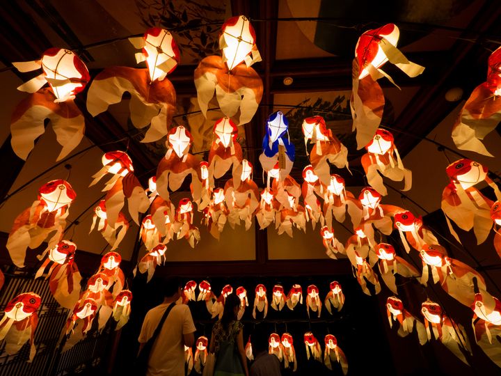 金魚ちょうちん祭りの魅力と楽しみ方2025 年のリアルなLemon8ユーザー体験