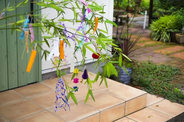 七夕飾りに願い込めて 県立博物館で飾り付けわかやま新報