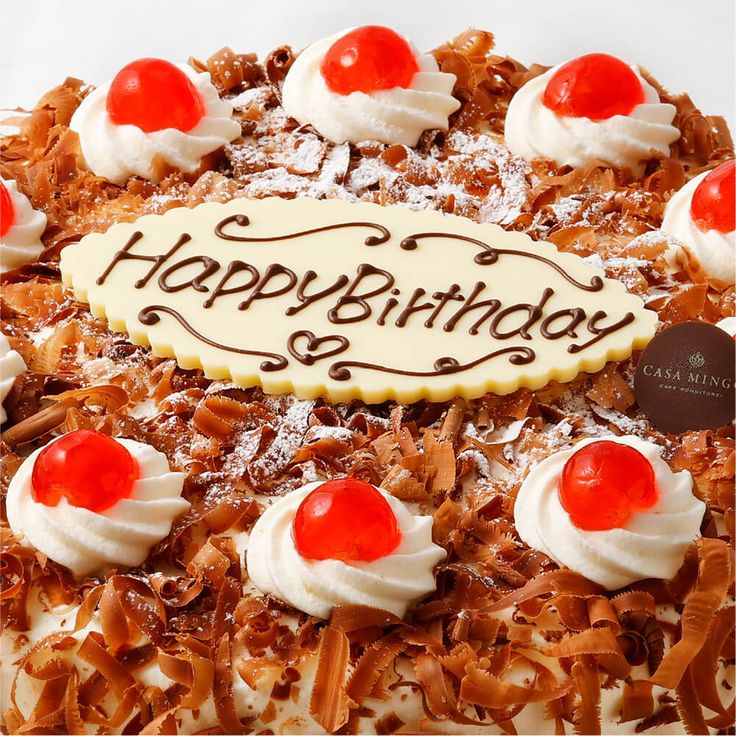 北海道・新ひだか町のクリスマスケーキ『ロールノセタ』懐かしい昭和レトロ６号サイズのチョコレートケーキ お届け予定：12 20～12 24 冷凍発送北海道新ひだか町JRE MALLふるさと納税