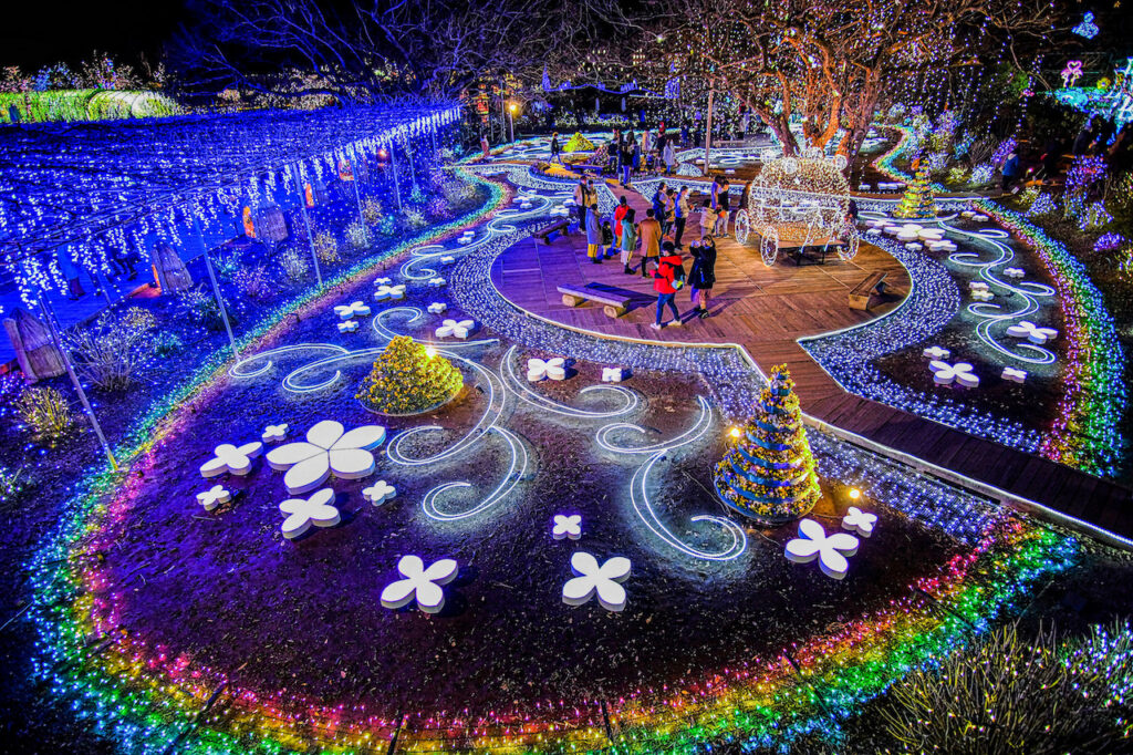 2025 あしかがフラワーパークのイルミネーションはいつからいつまで？期間とチケット情報を解説