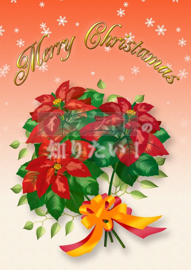 クリスマス・イブ背景画像素材、無料ダウンロードのためのPngtree クリスマス・イブのフリー背景ベクトルとpsdファイル