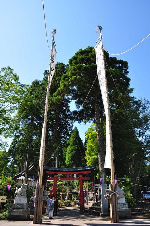 まきべーのおでかけ日記 国吉神社のお祭り お神輿は 20時すぎ宮入り予定だぉ〜 百福夜市も開催してるさぁ〜 よってくんなぉ〜国吉神社国吉百福市＃いすみ暮らし ＃いすみ市 ＃いすみノコト ＃多様なつながりご縁に感謝 ＃つながろう協働しようNPO法人いすみライフ