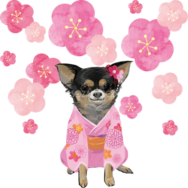 迎春 「 お正月魔女全身版 」 新年あけましておめでとうございます🎍 お」こもりひっき🦋