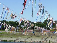 泳げ鯉のぼり相模川