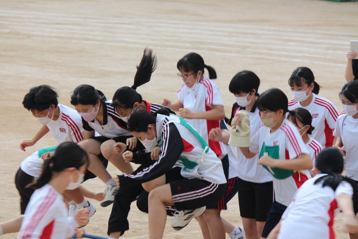 伊万里市、「どっちゃん祭り」の女神輿の迫力の無料の写真素材 - ID.15818フリー素材 ぱくたそ