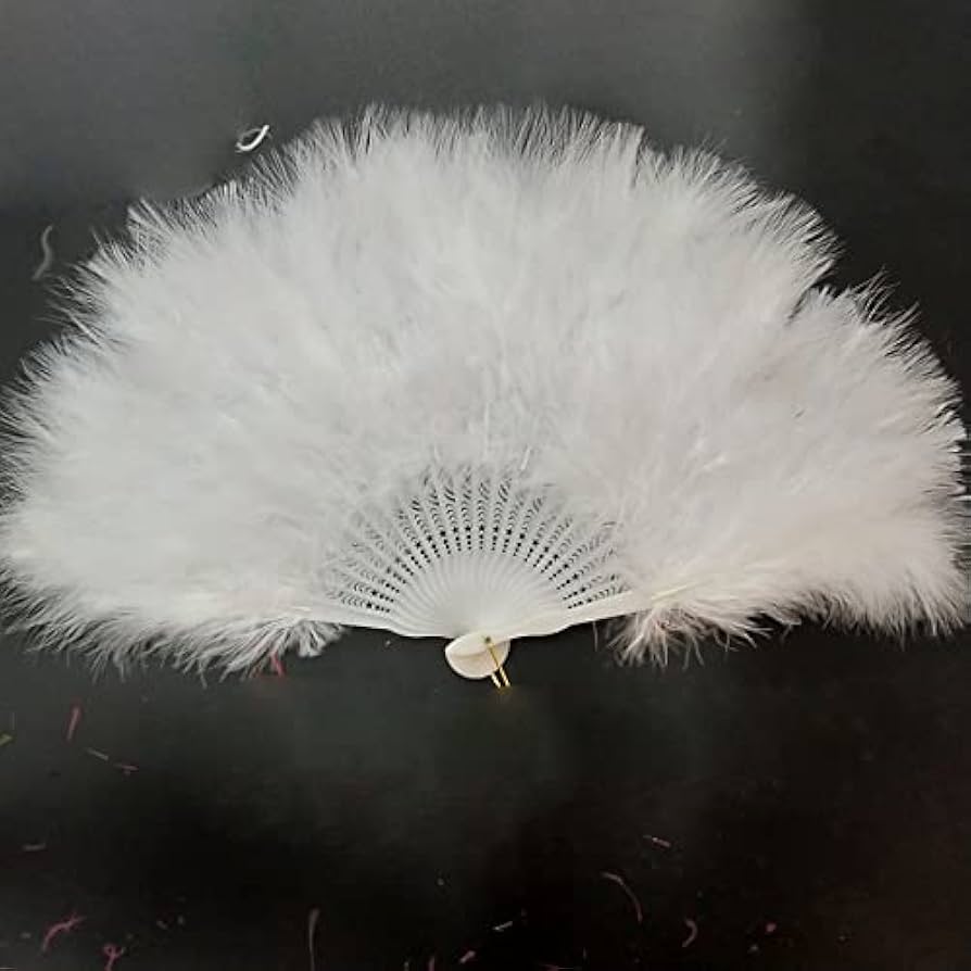 うちわを楽しむ京うちわ 阿以波