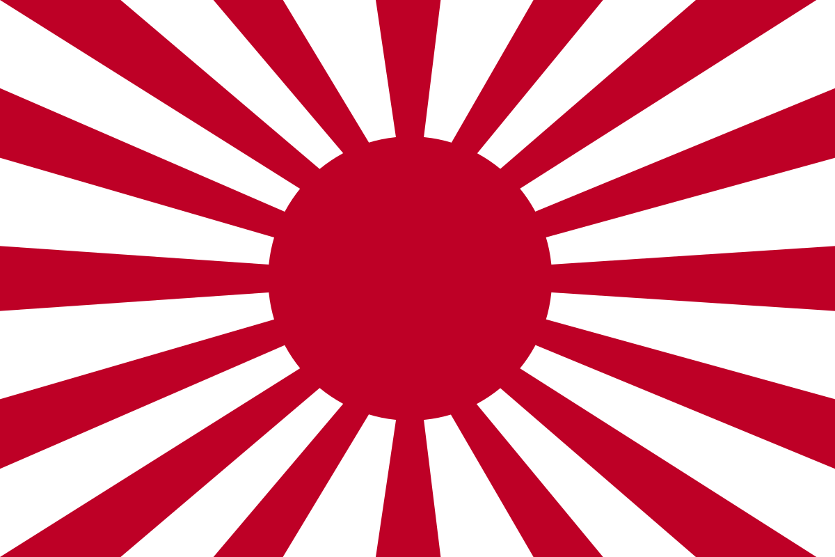 日本の旭日旗風ブラジル国旗 : r vexillology