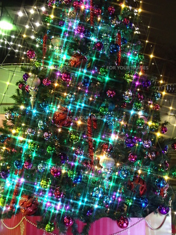 グランフロント大阪のクリスマス、約8mの巨大ツリーやシャンパンゴールドイルミネーション - ファッションプレス