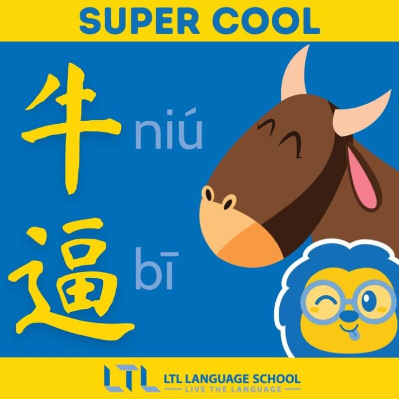 B型・いて座・丑年生まれの人の性格診断│星占いの館