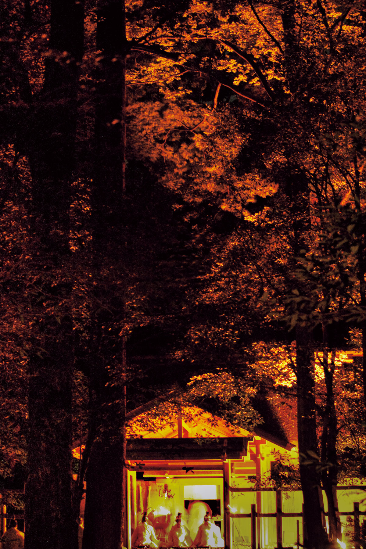 伊勢神宮「月讀宮」 三重県伊勢市 神様とつながりやすいパワースポット│nagomeru なごめる