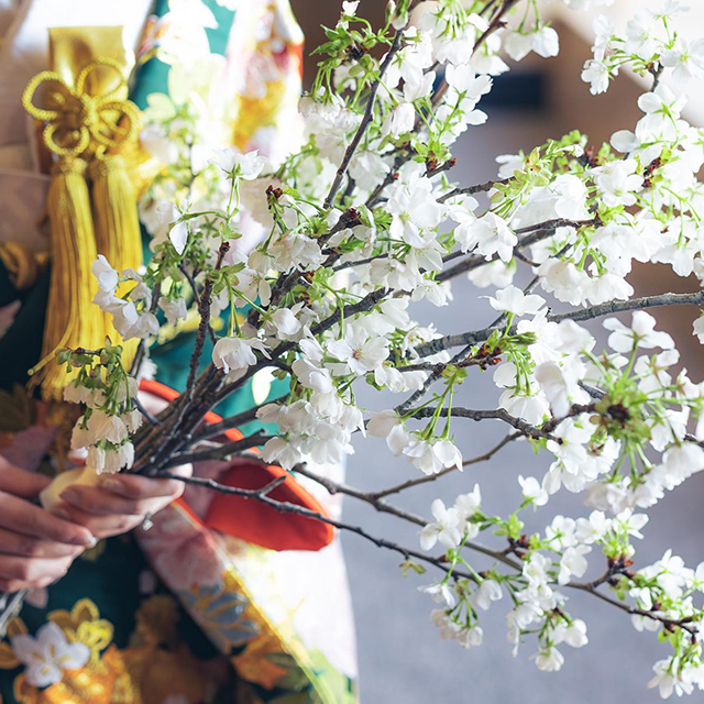 桜の花言葉！花嫁さまにぴったりの春の結婚式！神戸旧居留地の結婚式場 - 神戸セントモルガン教会