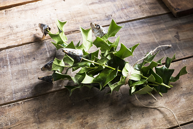 独特すぎる見た目の『ひいらぎいわし 柊鰯 』は節分の日に飾る魔除け2024年1月28日- エキサイトニュース