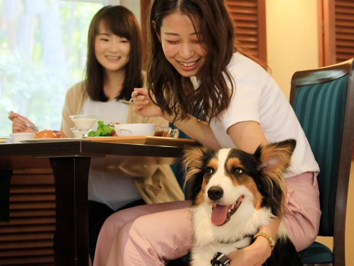 ペットと一緒に楽しむ、クリスマスの過ごし方2025年！レストランや宿泊施設、ペットが喜ぶプレゼントほか - OZmall