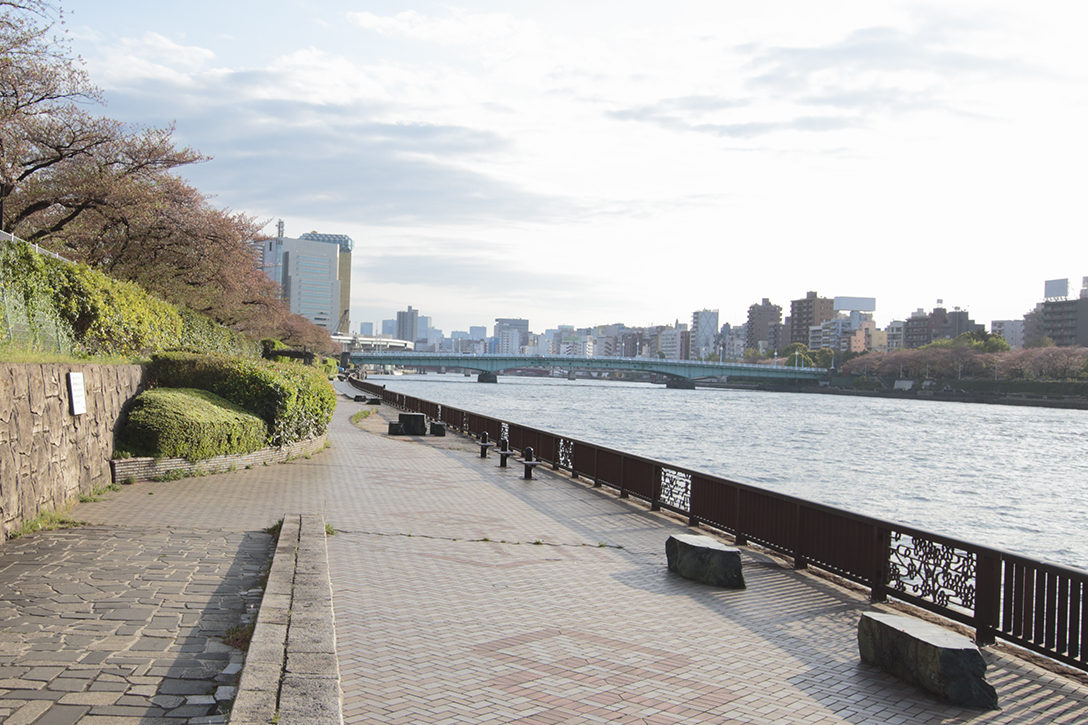 墨田区役所前で「小さな隅田川花火大会」 花火セレクトショップが企画 - すみだ経済新聞