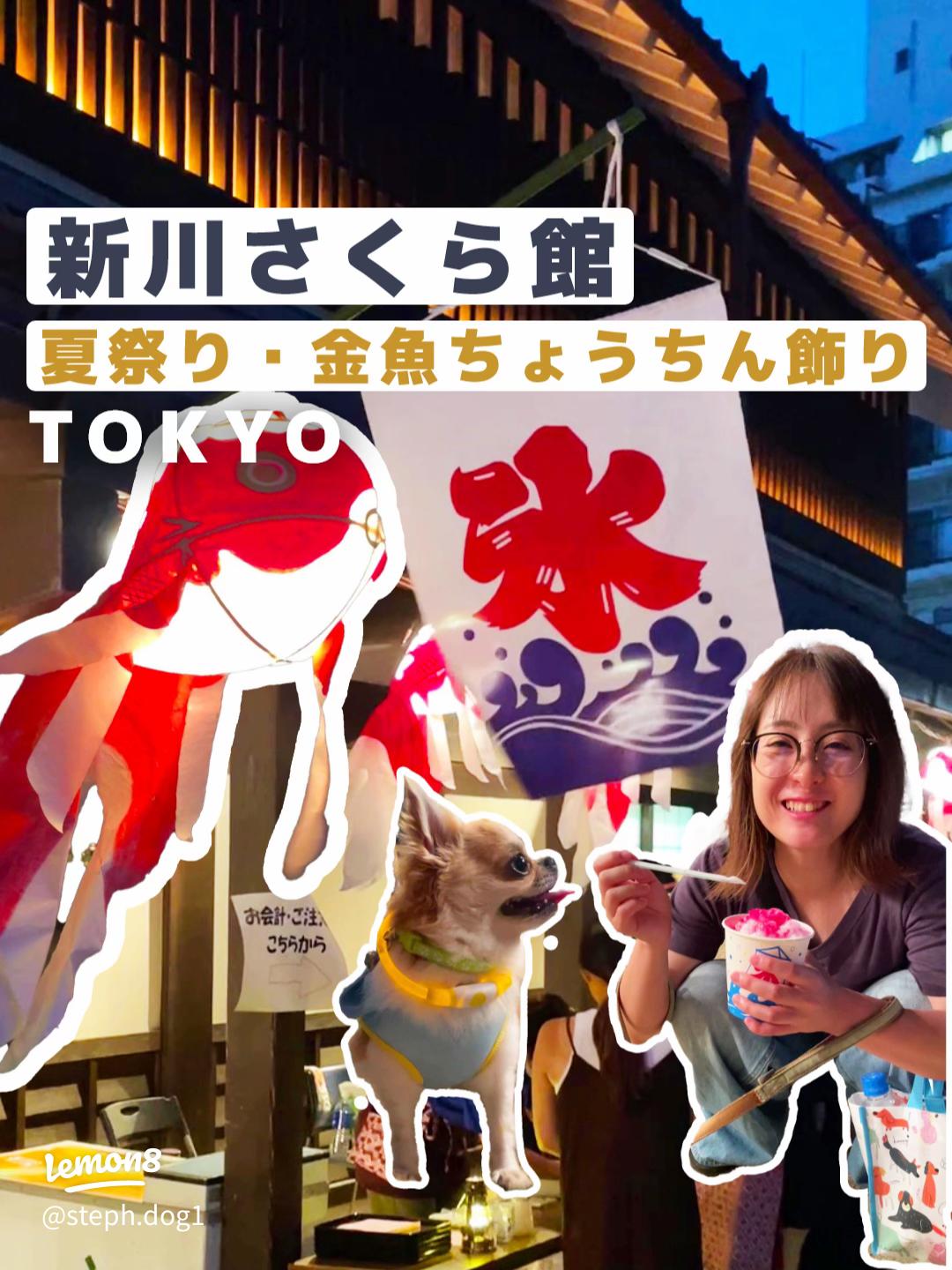 柳井金魚ちょうちん祭り2024』レポ！ 歴史やスケジュール・駐車場・楽しみ方まで徹底解説！ブログ 公式 山口県観光 旅行サイト おいでませ山口へ