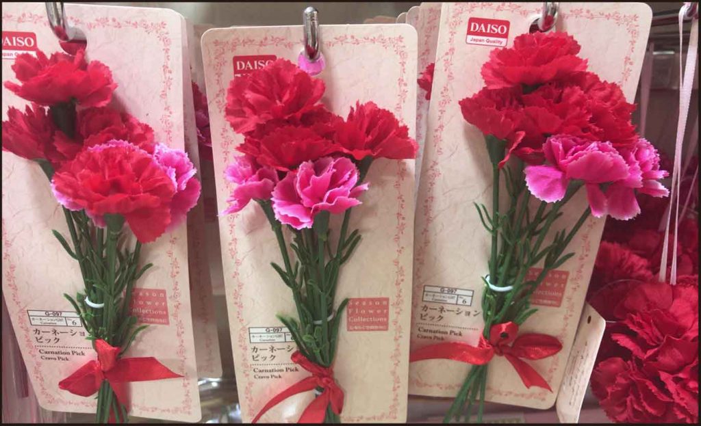 母の日に！ラッピングカーネーション DAISO商品紹介 〜孫から祖母へ子から母へ〜 Mothers Day Wrapping Carnation