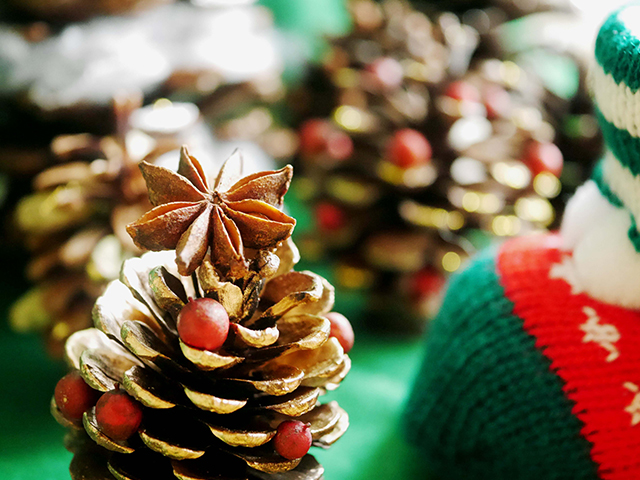 まつぼっくりのミニツリー〜自然の素材で楽しむ製作遊び〜保育と遊びのプラットフォーム ほいくる