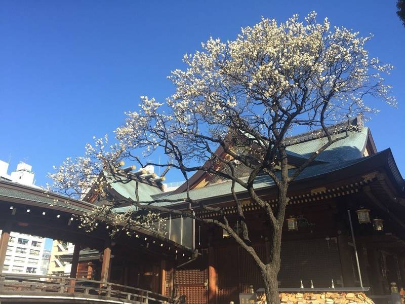 湯島天神の見どころ＆御朱印情報 ∞ ぶらぶらマップ