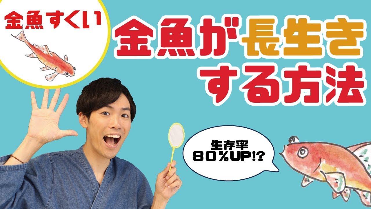 お祭りの金魚すくいで取った金魚の飼育方法は？当日・翌日にやることリストTierzine ティアジン