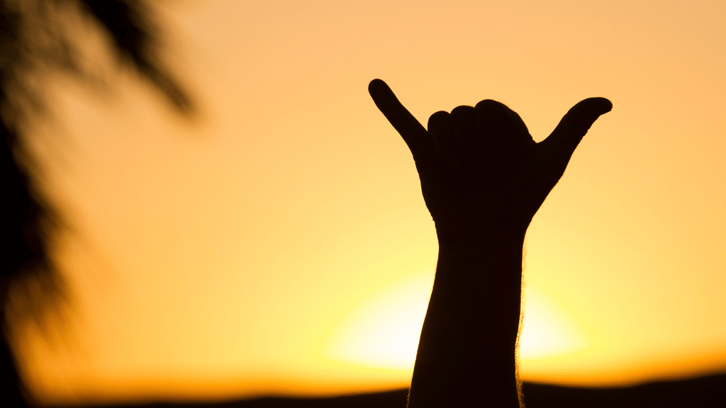 ハワイのALOHAなハンドサイン「シャカ」ハワイの最新情報をお届け！LaniLani