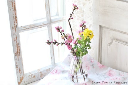 ひな祭りの桃の花：最も簡単な生け方花の情報局