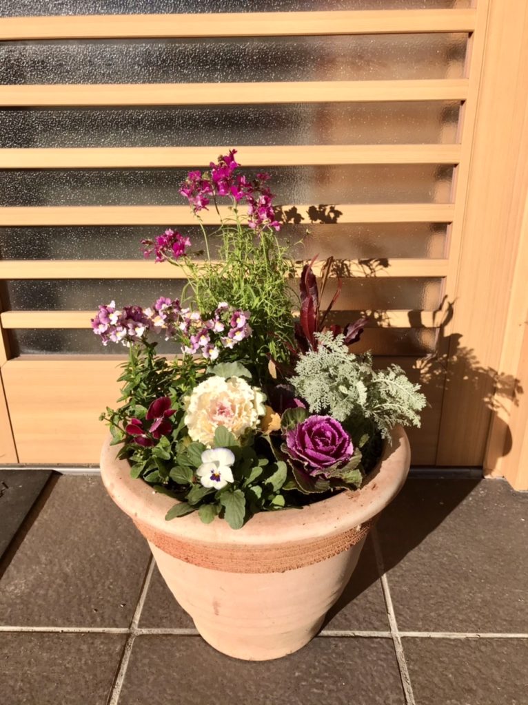 葉牡丹」がおめでたい花材として、門松やお正月のお花に使われる理由いけばな光風流 家元 内藤正風