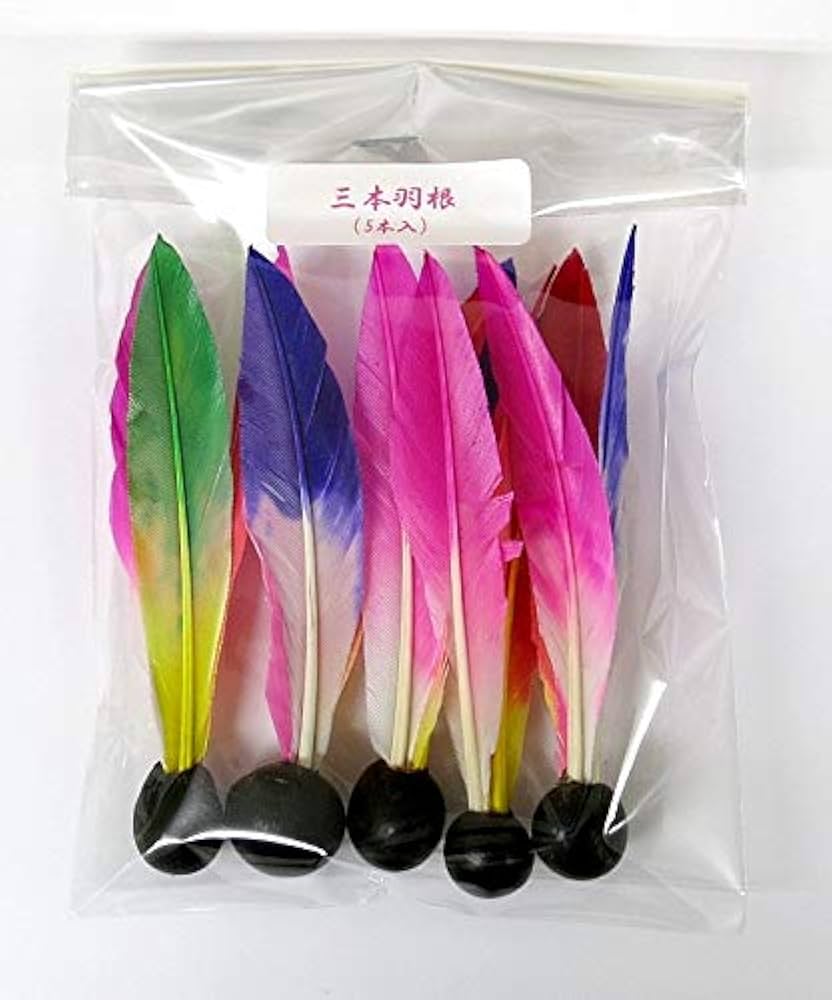 Amazon.co.jp: 池田工業社 羽子板はごいた 羽根付き羽根2個付き サンリオキャラクターズ 007308520 : おもちゃ