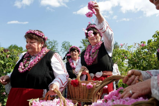 バラの谷カルロヴォ「バラ祭り」2025年5月31日 – Prista Travel