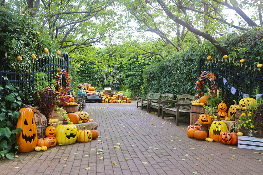 ガーデンオブジェ 2個セット ガーデンオーナメント ハロウィン 黒猫とカボチャの庭飾り 墓石 コウモリ お化け屋敷デザイン スタチューオーナメントハロウィンパーティー 玄関先 ガーデニング 庭 園庭 イベント会場 かわいいデザイン - メルカリ