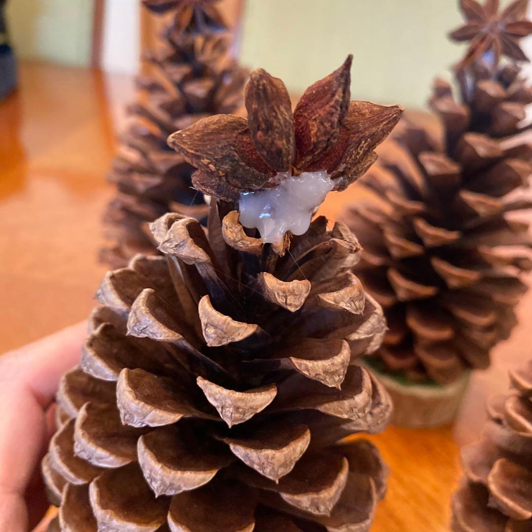 楽天市場 クリスマス 松ぼっくり ツリー 制作キット 北欧 おしゃれ 卓上 キット クリスマスツリー 手作り 子供 工作 イベント オーナメントナチュラル 飾り 送料無料 プリザーブドフラワー ドライフラワー アレンジメント 簡単 プレゼント 新作 2023 : ハーバリウム花材